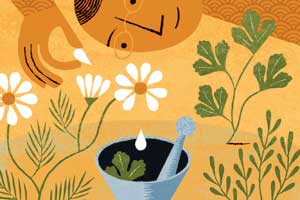 Kitchen Herbs That Heal