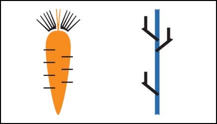 Carrot & Stick: March 2008