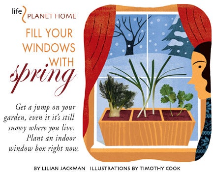 Fill Your Windows with Spring