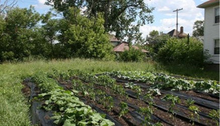 Holiday 2008: VT's Annual Giving Guide