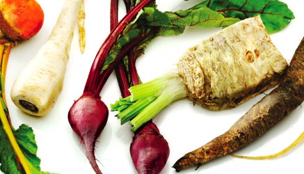 Get Back to your Roots