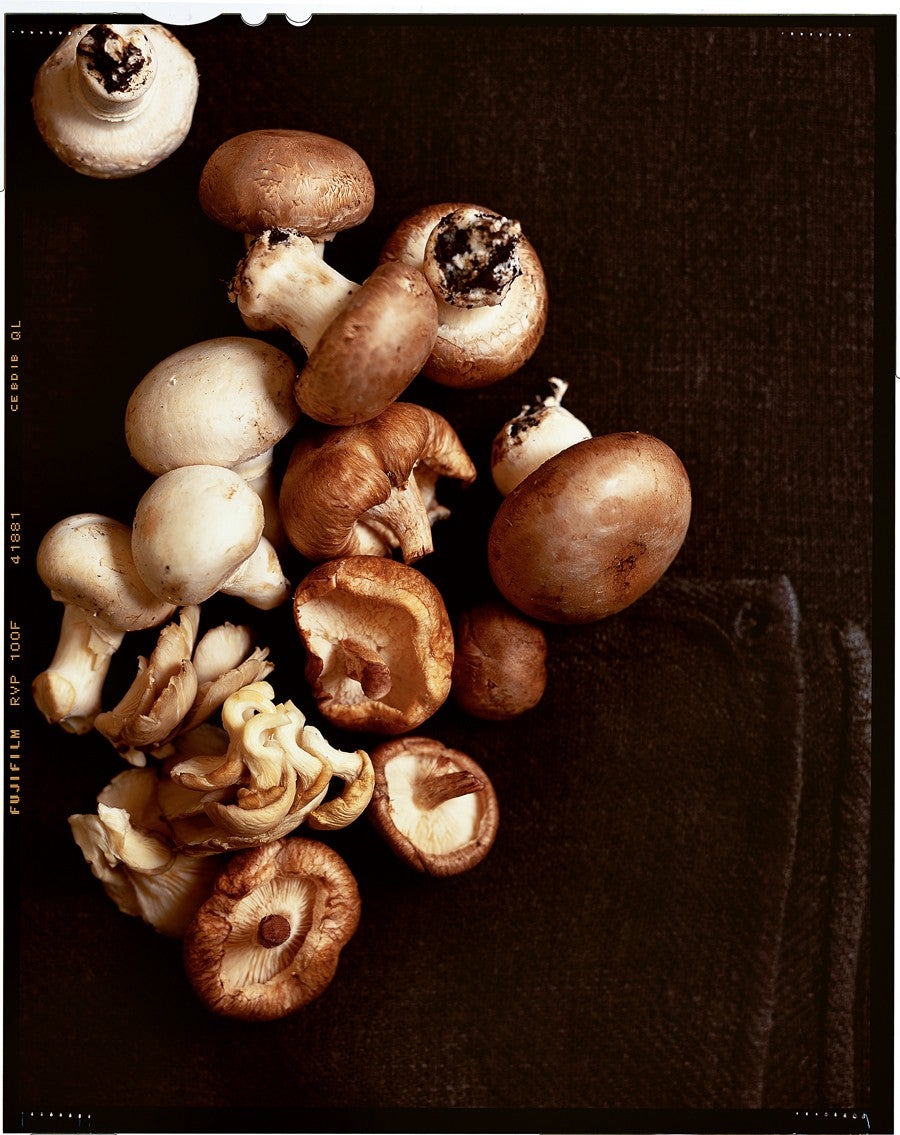 A Cook's Guide to Mushrooms