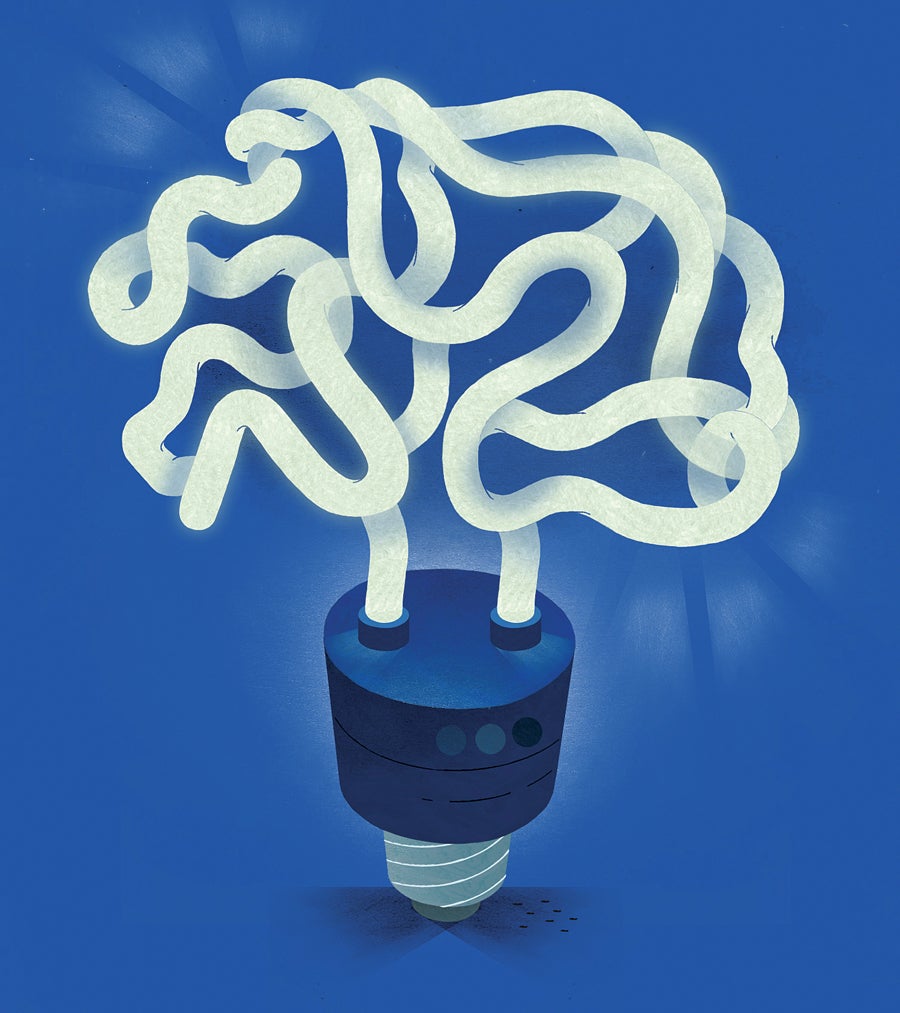 ask the doc brain food