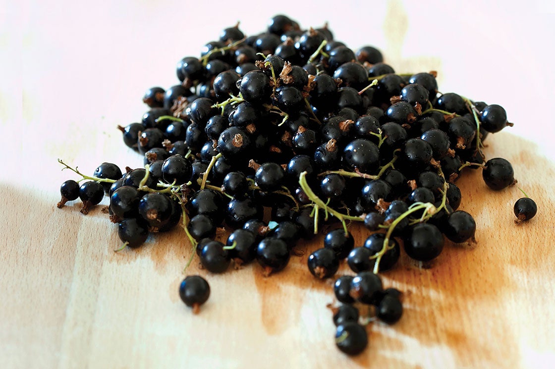 Black currants