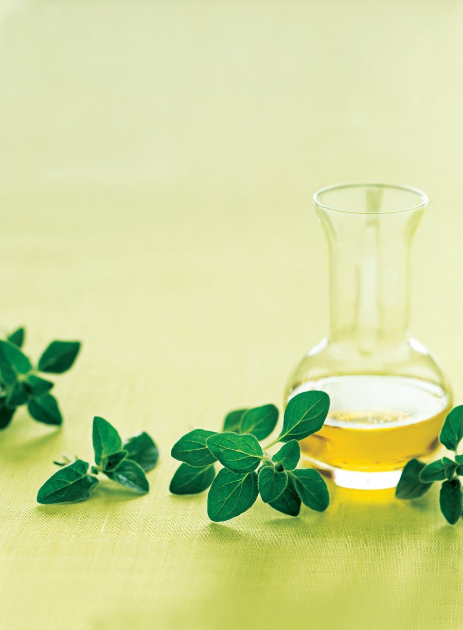 Healing Foods: Oregano