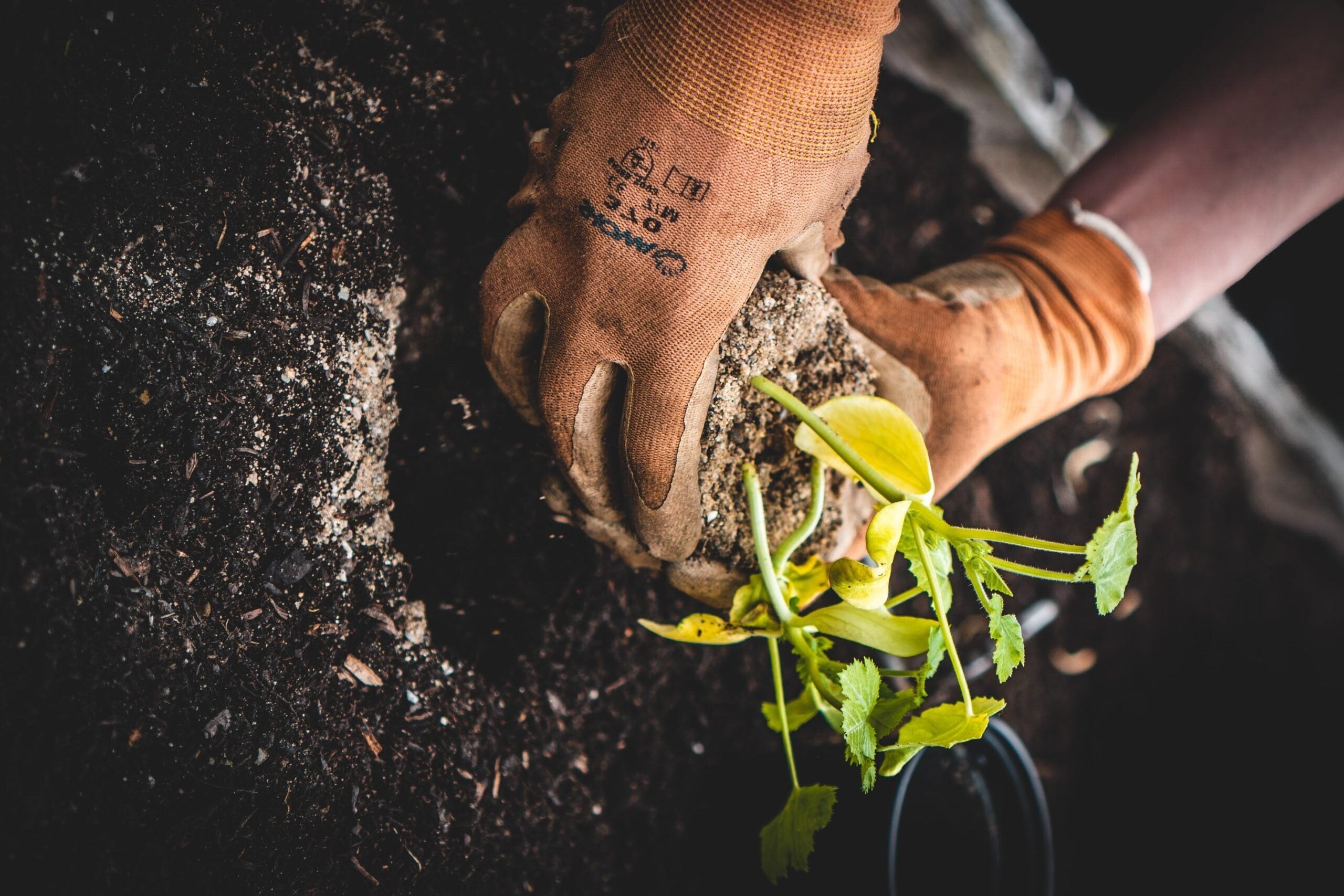 vegan fertilizer gardening