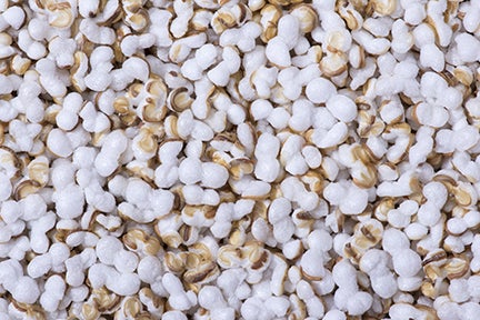 Macro closeup puffed cooked amaranth seed filling image frame