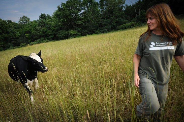 FarmSanctuarycow None