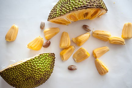 Ripe Jackfruit pieces with jackfruit pods isolated on white top view