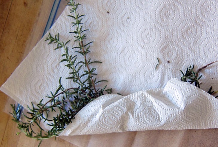rosemary None