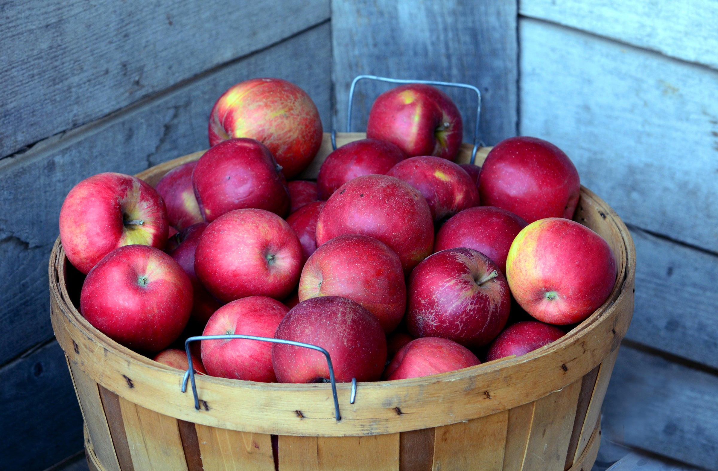 Apples are super versatile to cook with. Here are 21 of our favorite recipes.