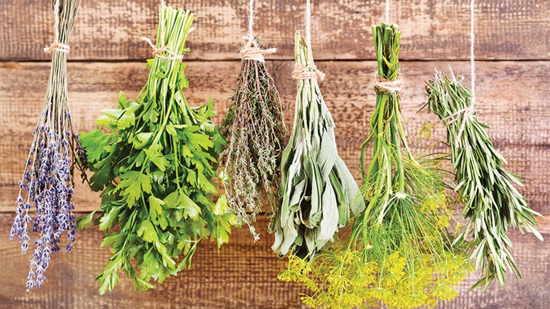 How to Save Your Summer Herbs