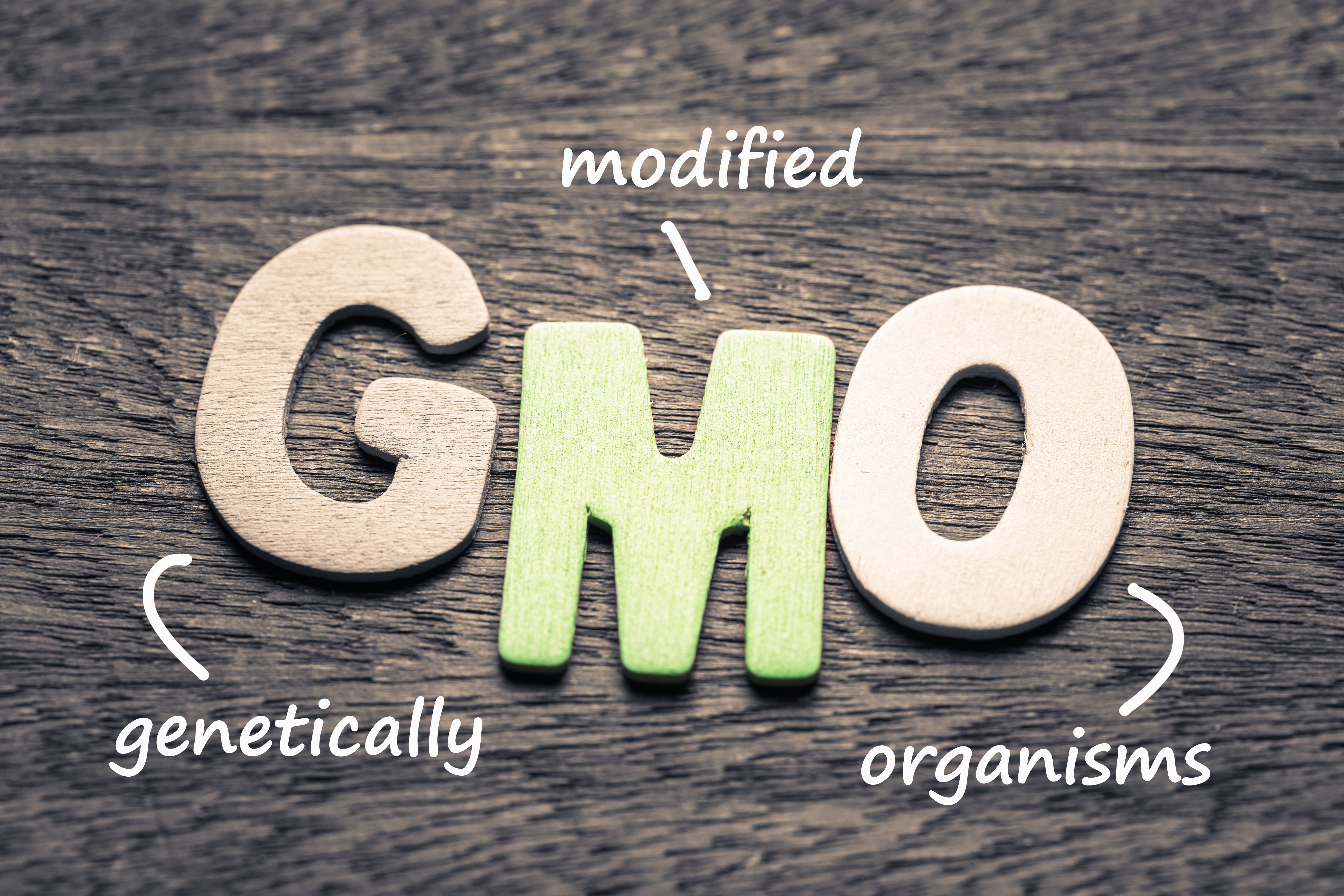 Wood letters of GMO and definition on wood background