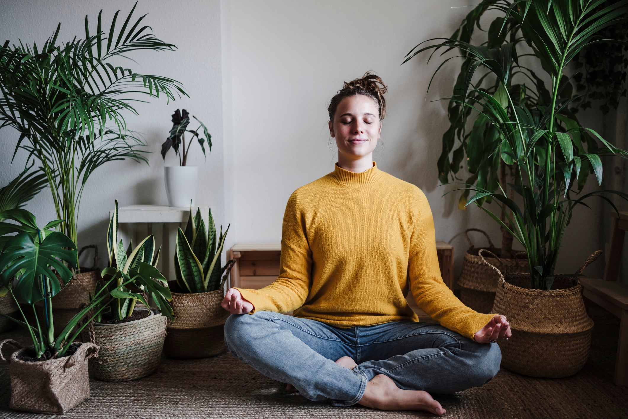 meditation home plants why meditate