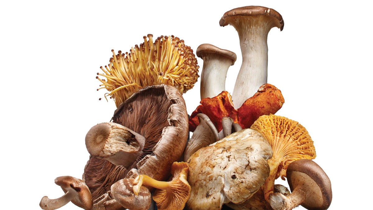 Are Mushrooms Good for You? Health Benefits of Mushrooms