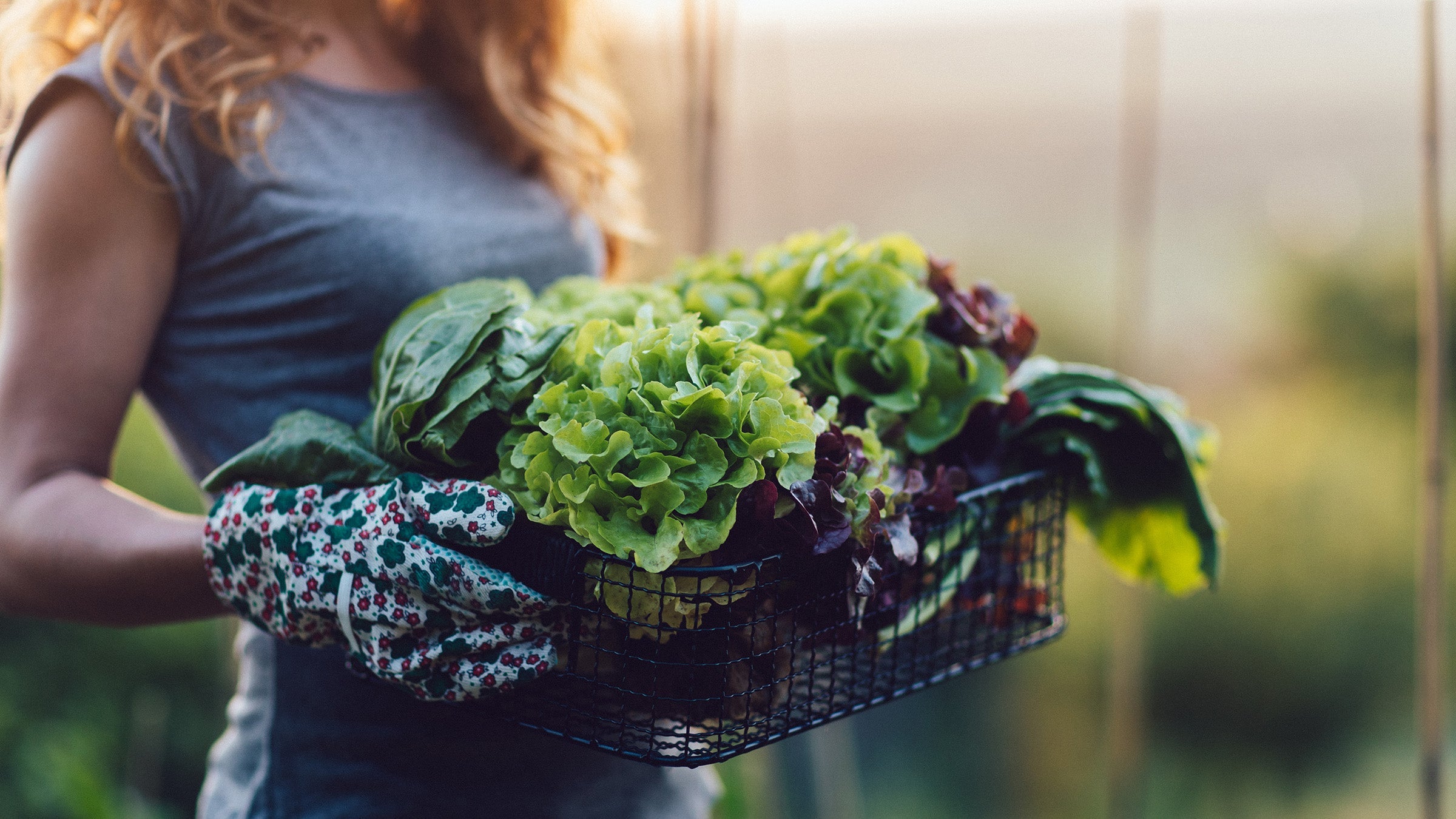Build Stronger Muscles By Eating More Greens