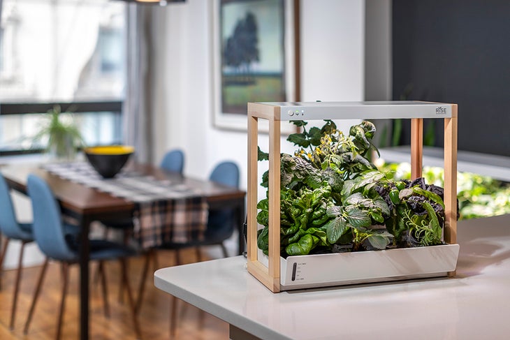Rise Indoor Gardens