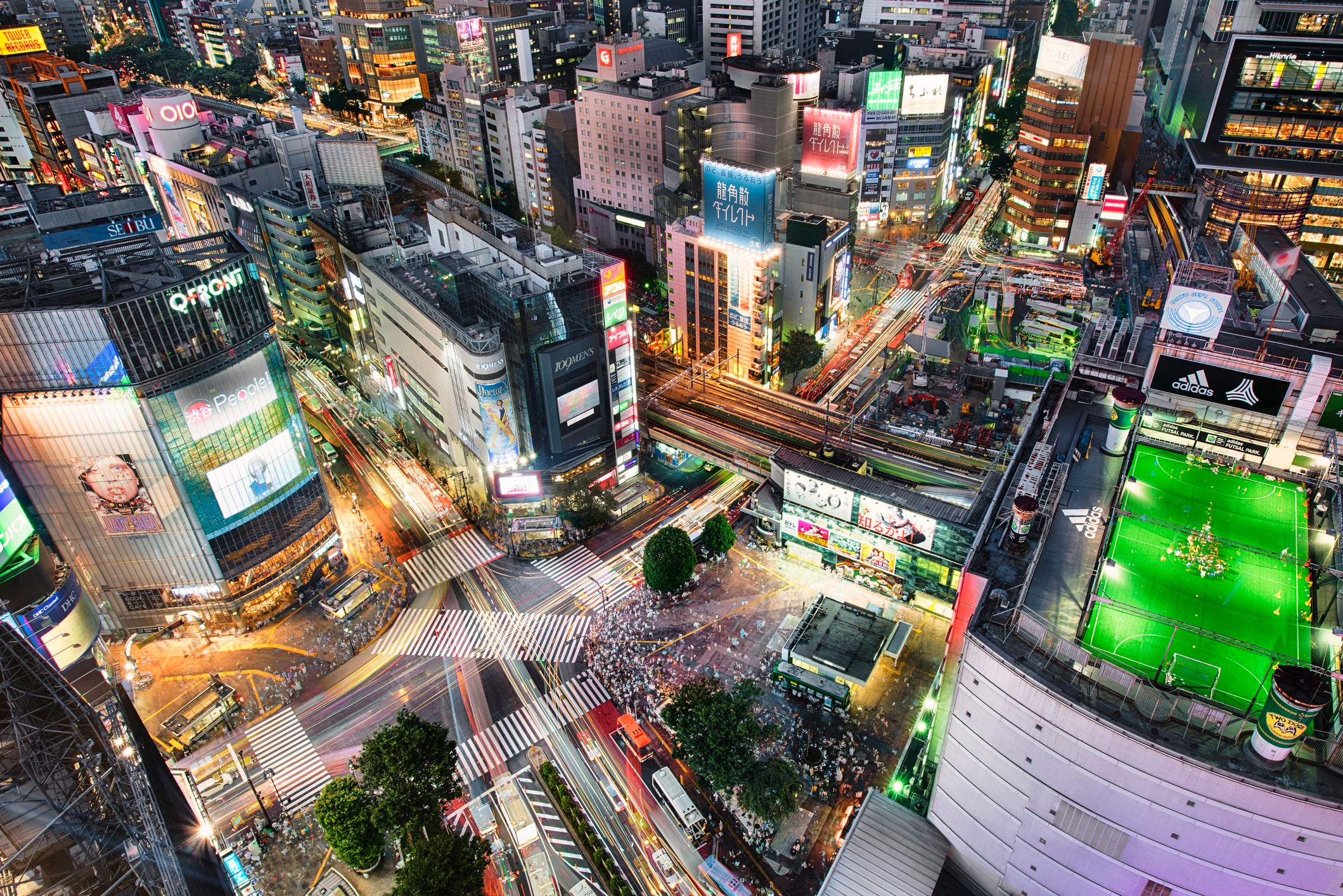 skyline of Shibuya crossing and buildings for a vegetarian Tokyo city guide