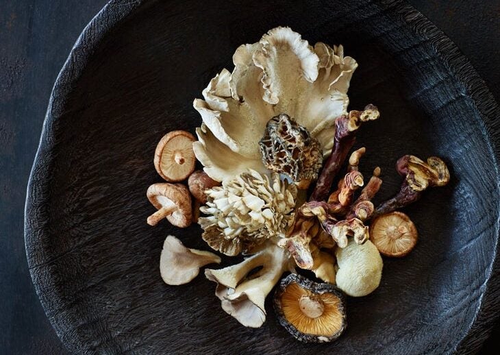 medicinal mushrooms health benefits