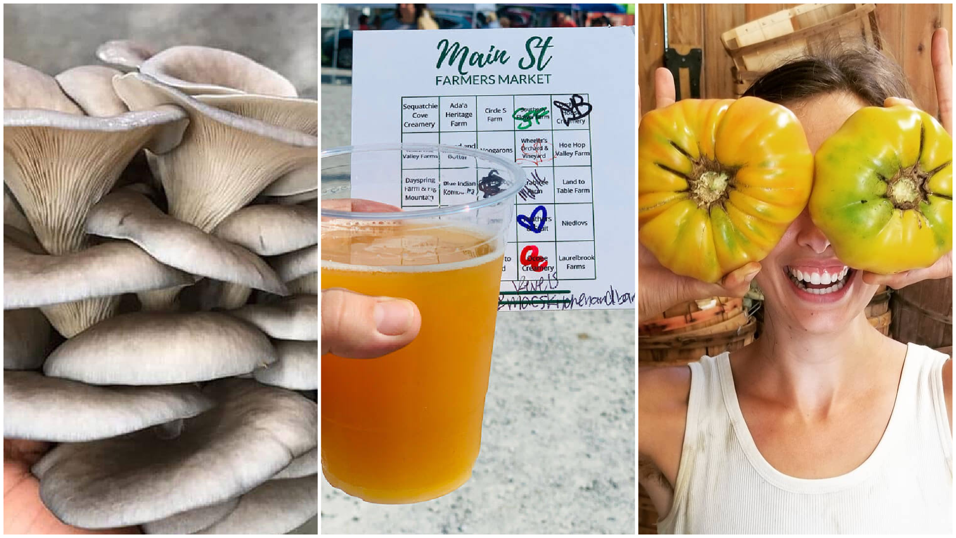chattanooga farmers market collage