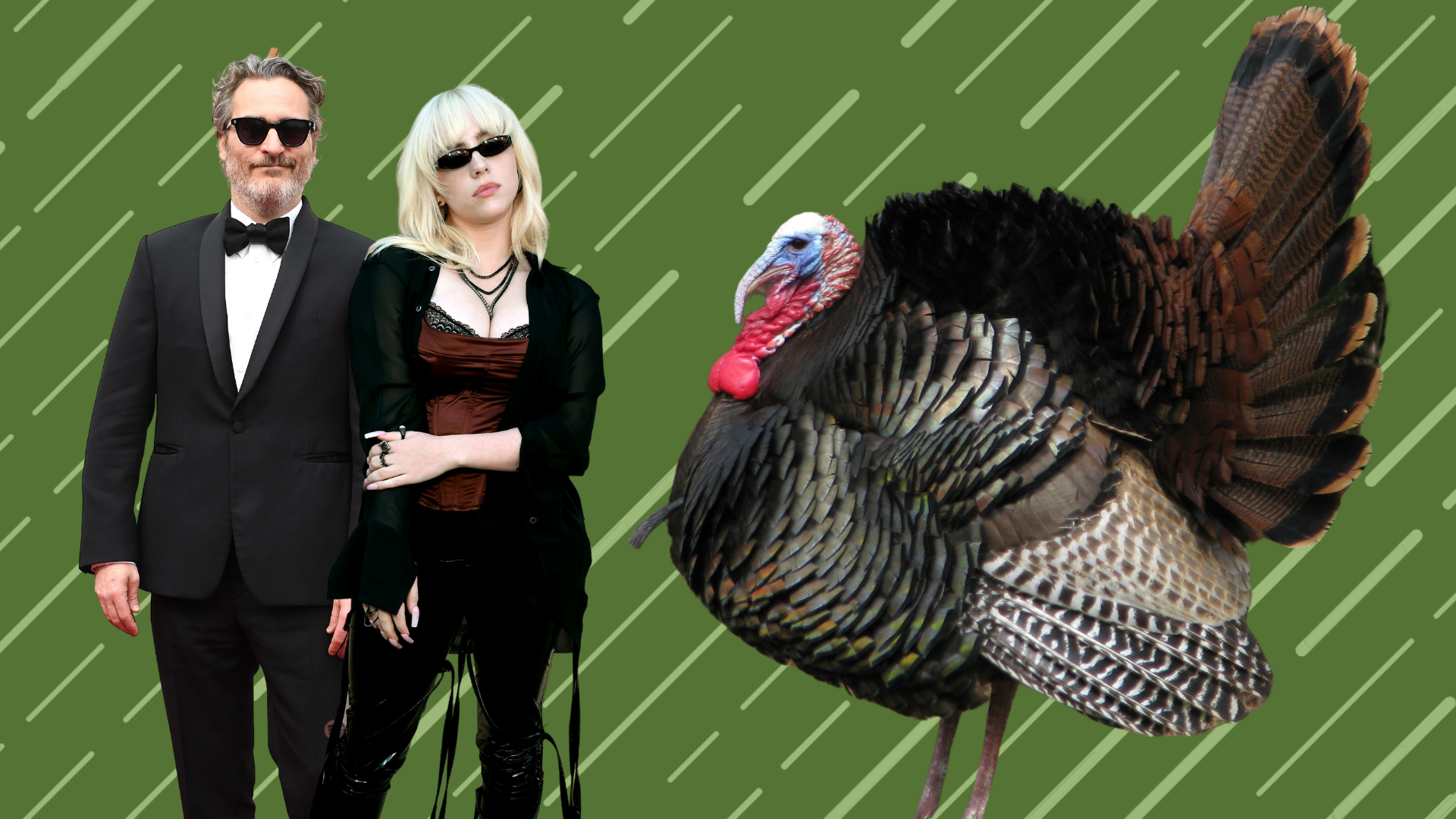 Billie Eilish turkey pardon sanctuary