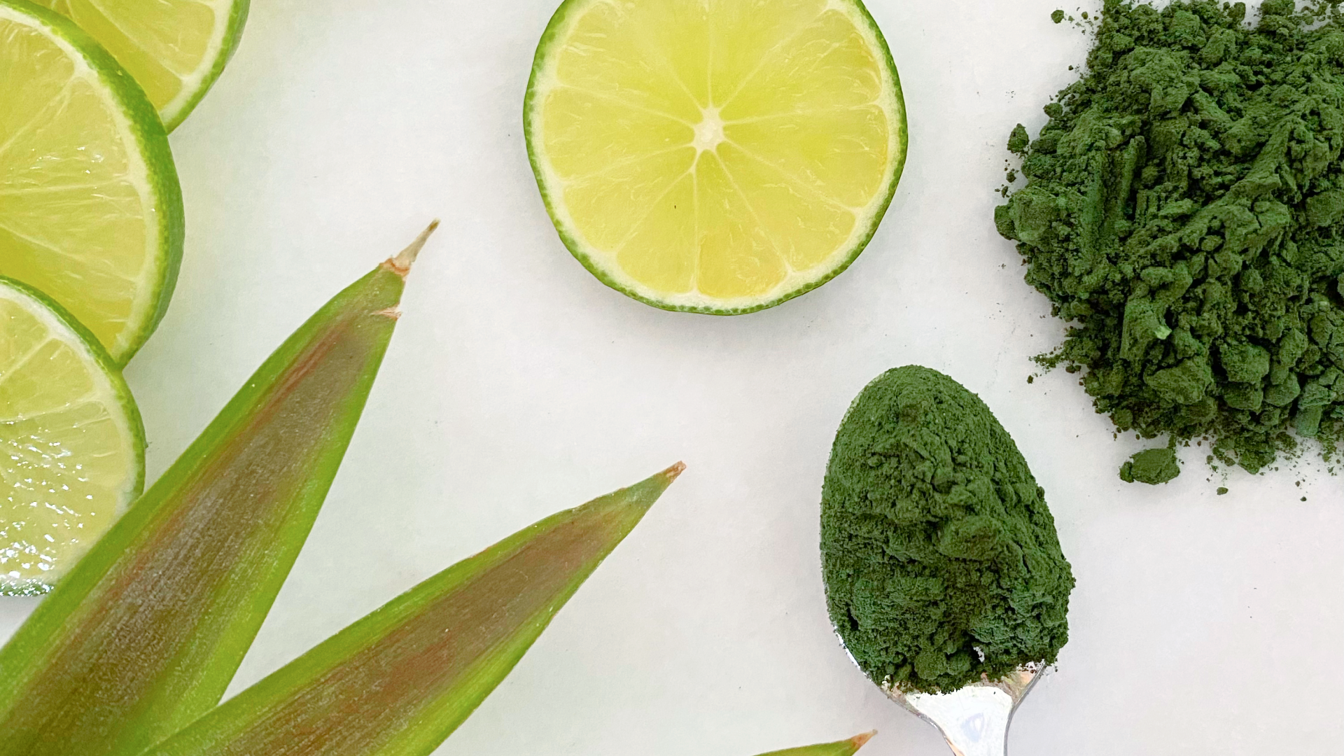 is phytoplankton vegan