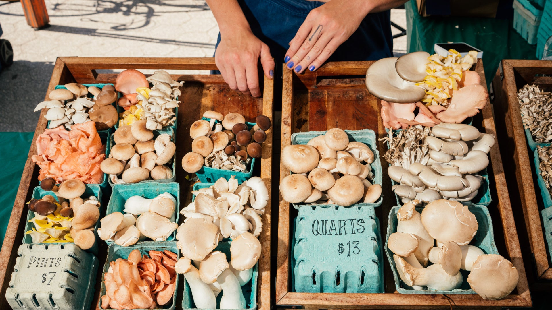 mushrooms market