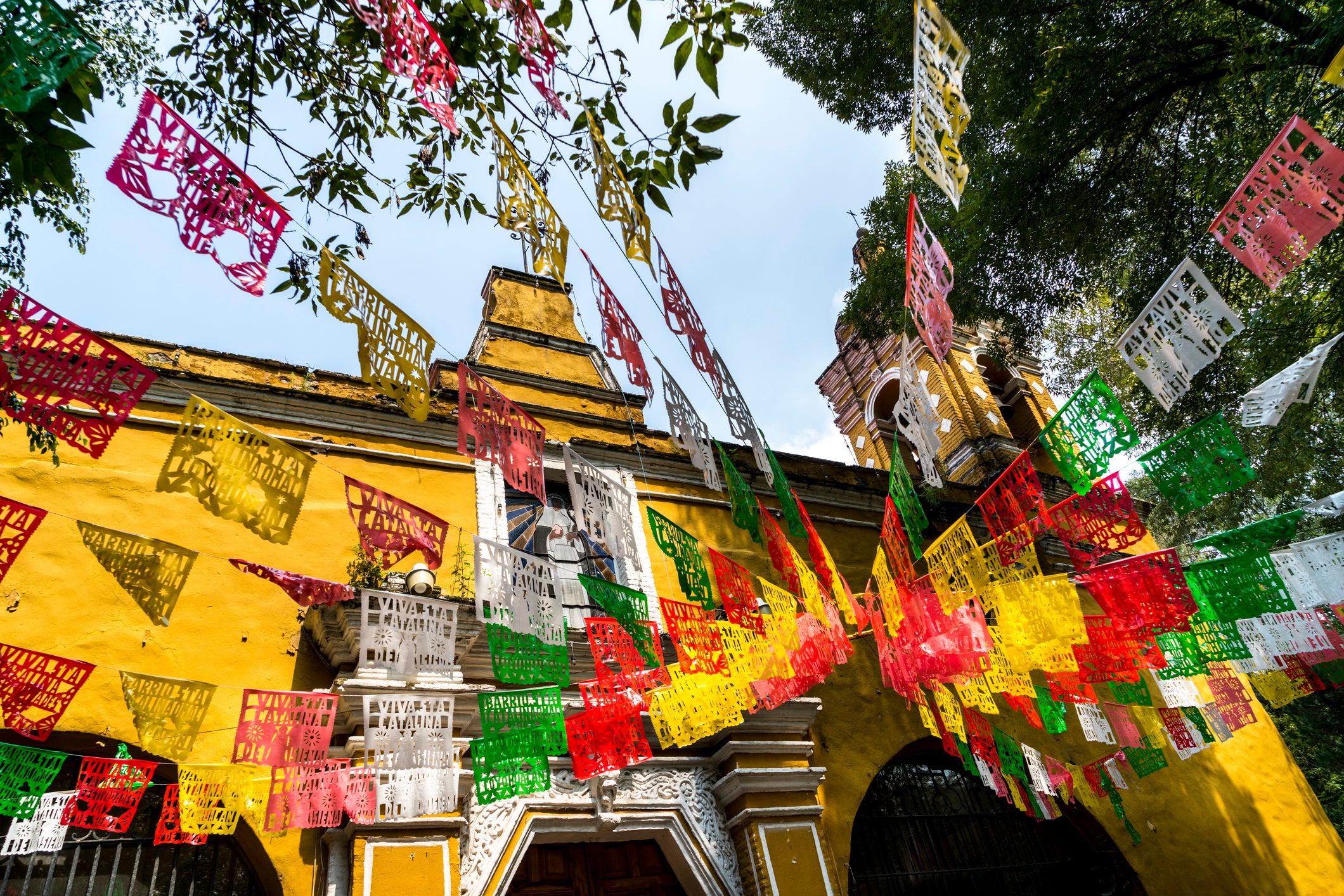 vegetarian Mexico City guide