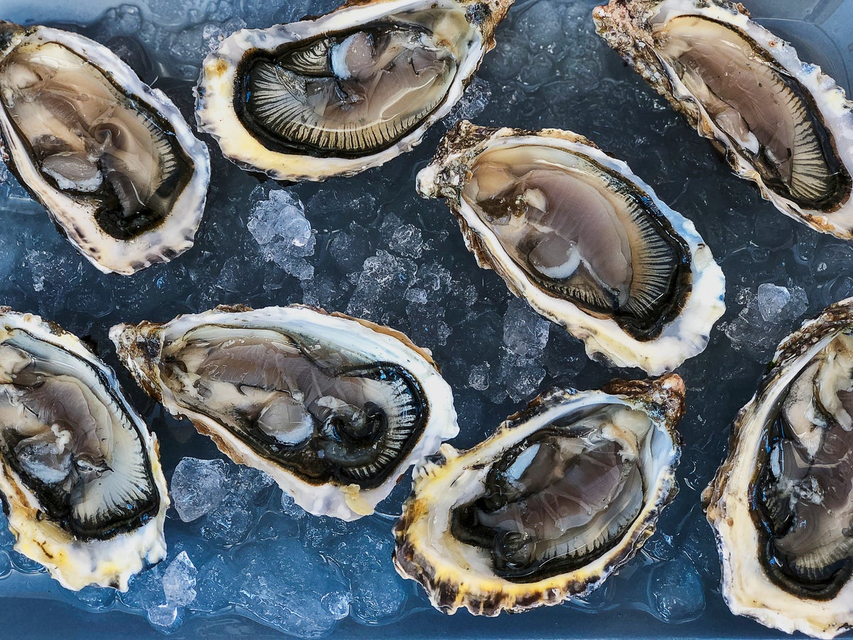 Can Vegans Eat Oysters and Bivalves? 'Bivalvegans' Think So.
