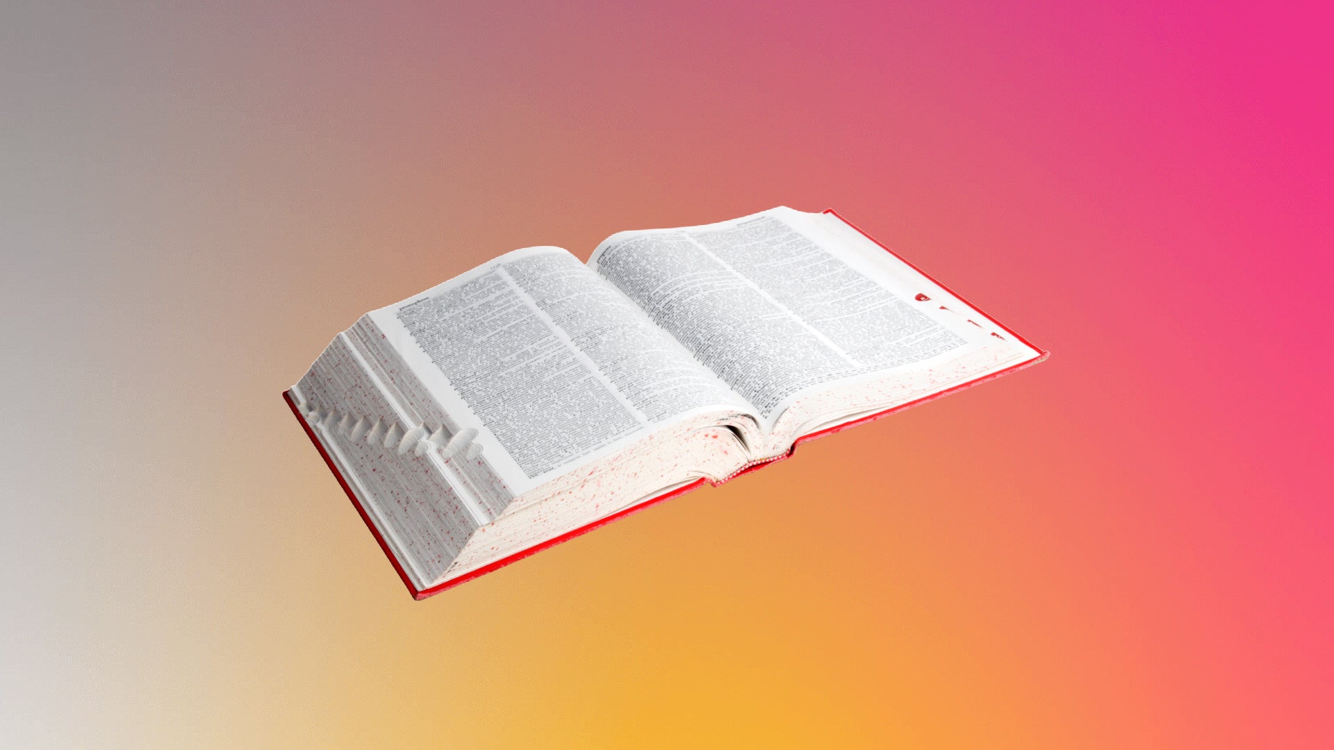 new words 2022 dictionary