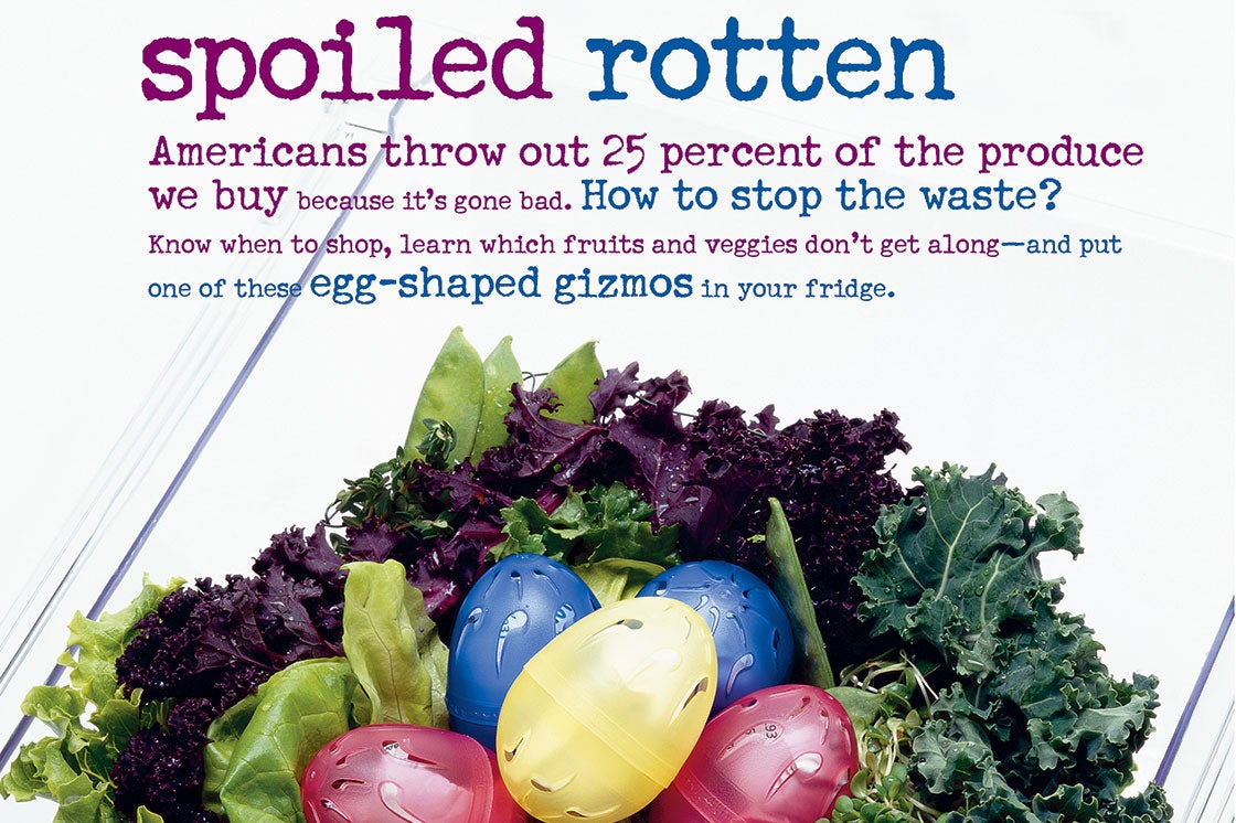 spoiled-rotten-2 None