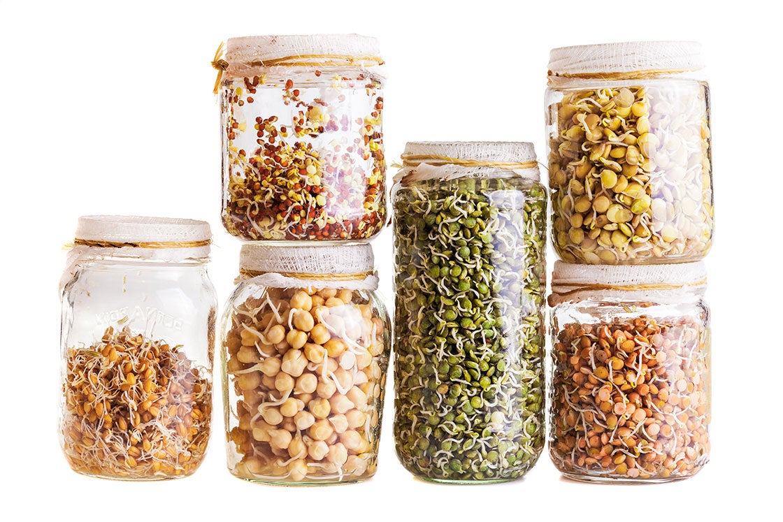 How to Soak & Sprout Nuts, Seeds, Grains, & Beans Vegetarian Times